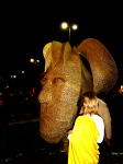 DSC07604