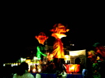 DSC07591