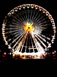 DSC07590