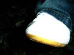 DSC08072