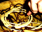 DSC08244